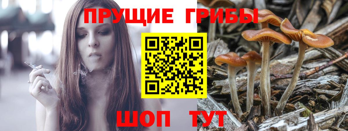 что такое наркотик  Вход с VPN  Кстово  Псилоцибиновые грибы Magic Shrooms 